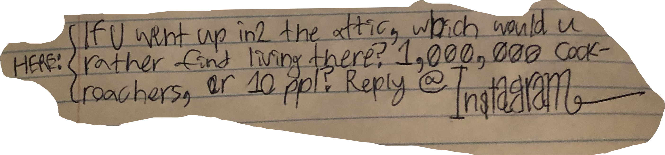 If U went up in2 the attic, which would u rather find living there? 1,000,000 cockroachers, or 10 ppl? Reply @Instagram