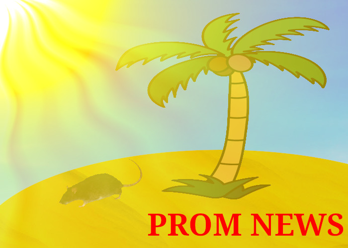 Prom replaced with free trip to offshore sand mound barely fit to house a colony of rats