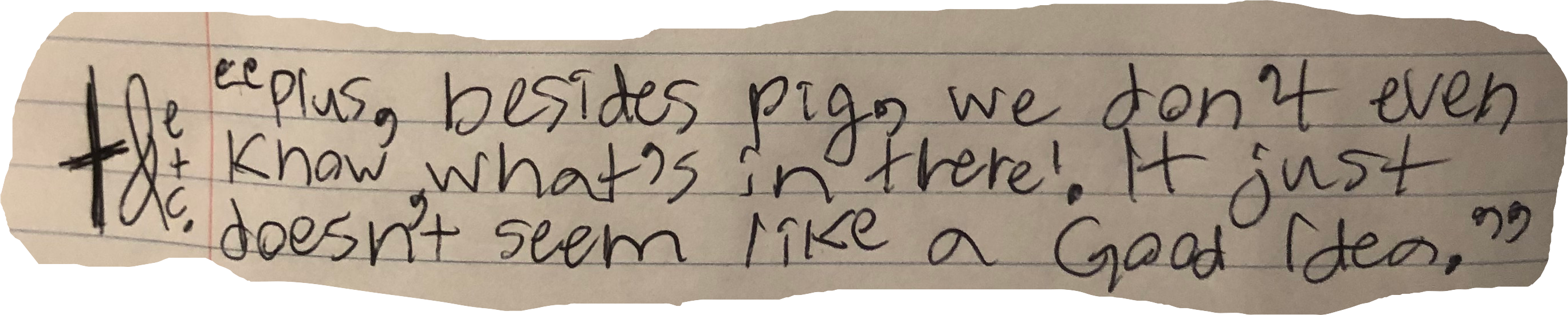"Plus, besides pig, we don't even know what's in there! It just doesn't seem like a Good Idea."