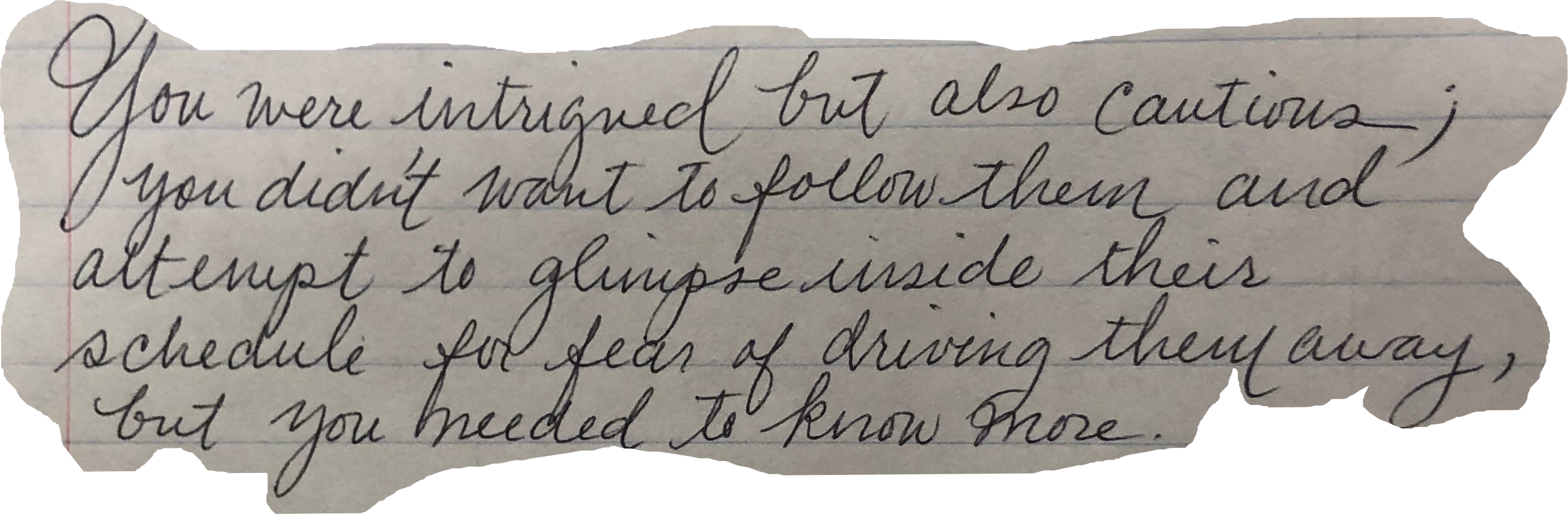 You were intrigued but also cautious; You didn't want to follow them and attempt to glimpse inside their schedule for fear of driving them away, but you needed to know more.